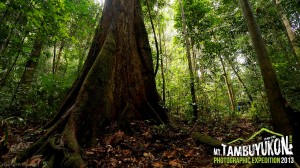 Mount Tambuyukon Expedition  
